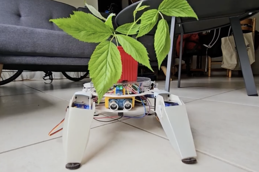 This plant always gets enough sunlight thanks to its robotic legs